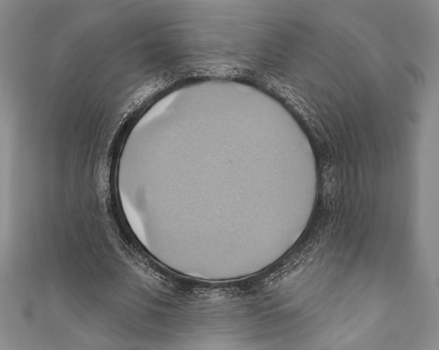X0000110680679200907101128