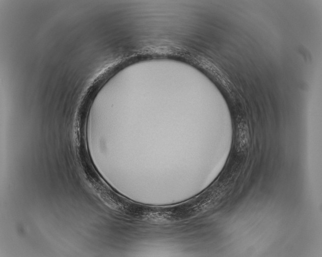 X0000110680680200907101128