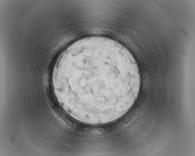 X0000110680683200907101128