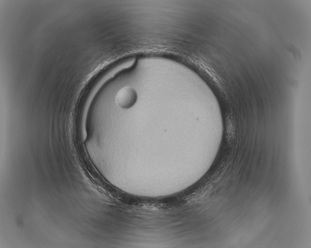 X0000110680684200907101128