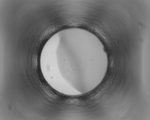 X0000110680685200907101128