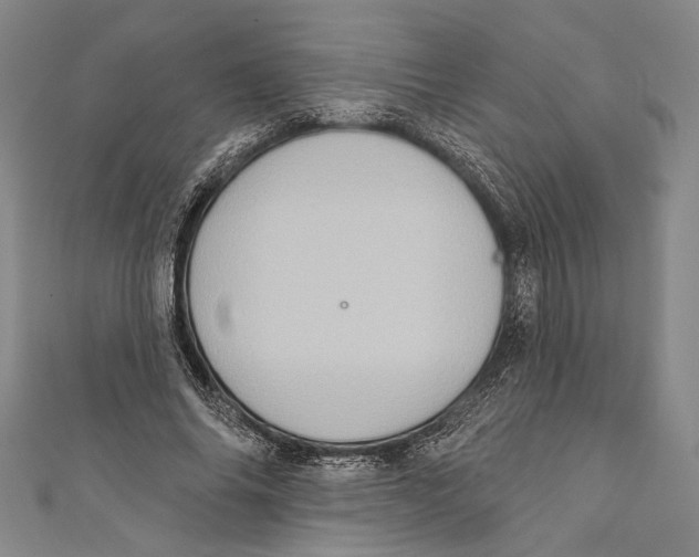 X0000110680686200907101128