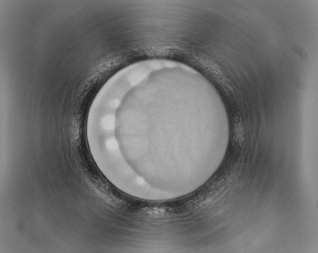 X0000110680687200907101128