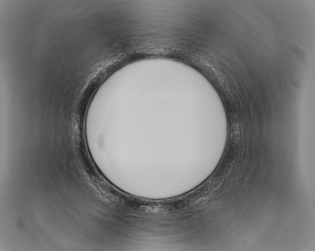 X0000110680688200907101128
