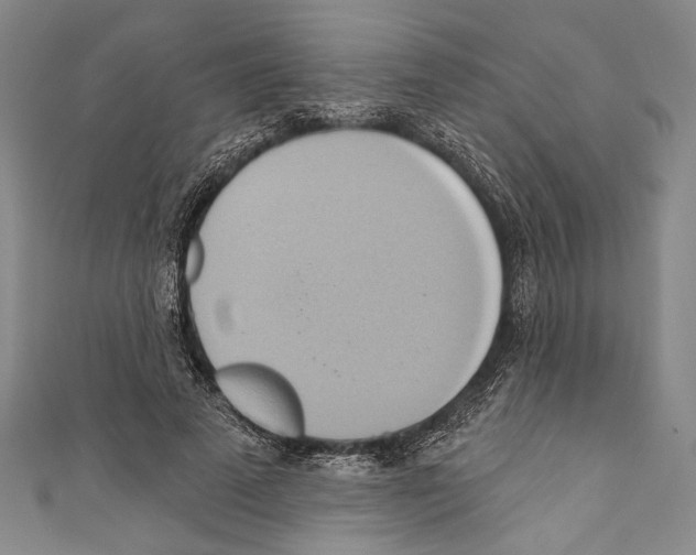 X0000110680689200907101128