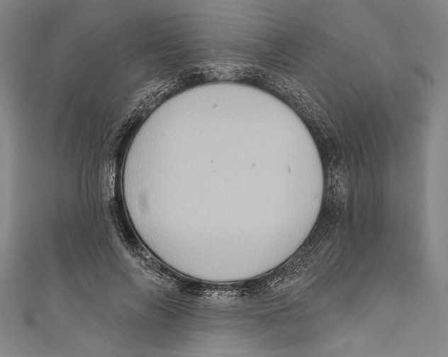X0000110680694200907101128