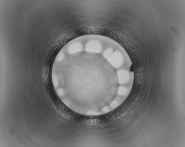 X0000110680695200907101128