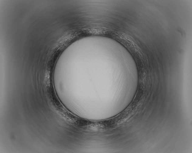 X0000110680696200907101128