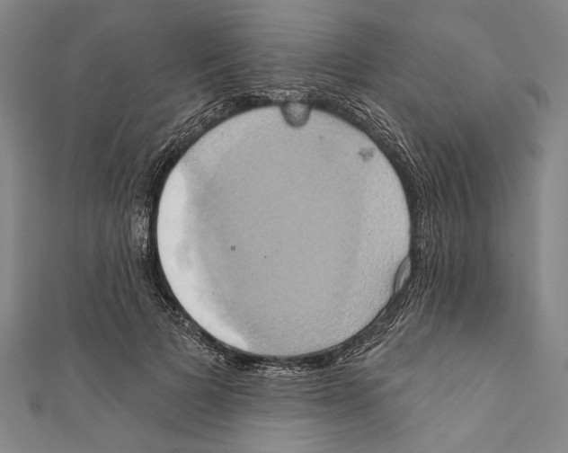 X0000110680697200907101128