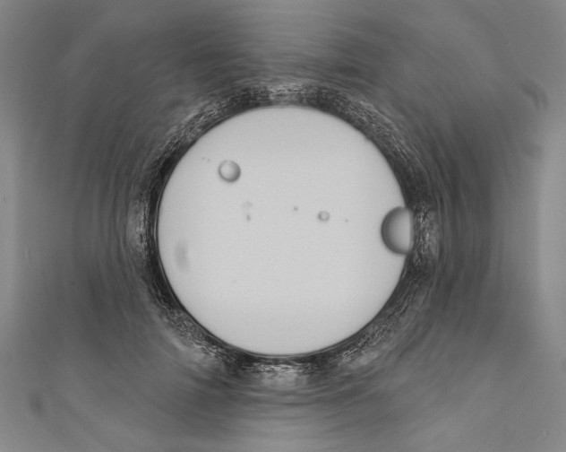 X0000110680698200907101128