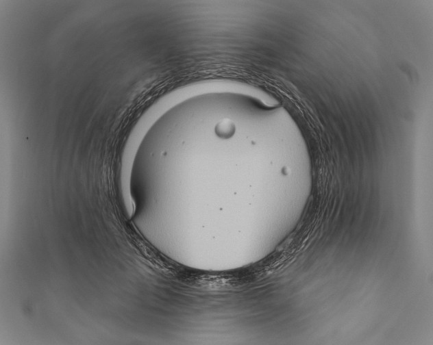 X0000110680701200907101128
