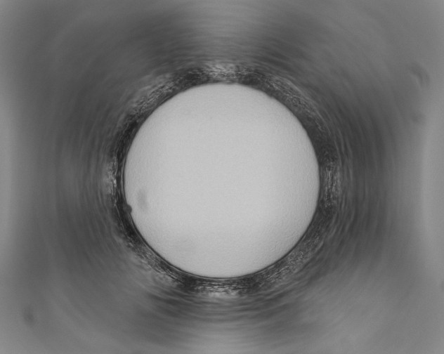 X0000110680702200907101128