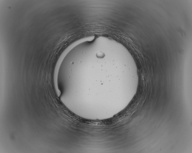 X0000110680705200907101128