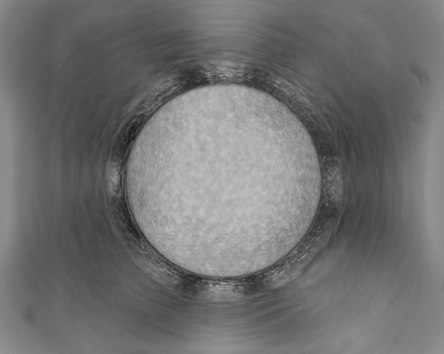 X0000110680709200907101127