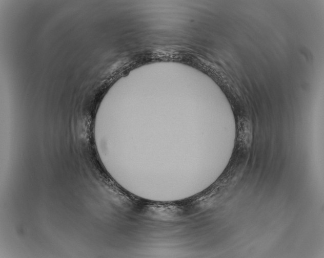 X0000110680712200907101127
