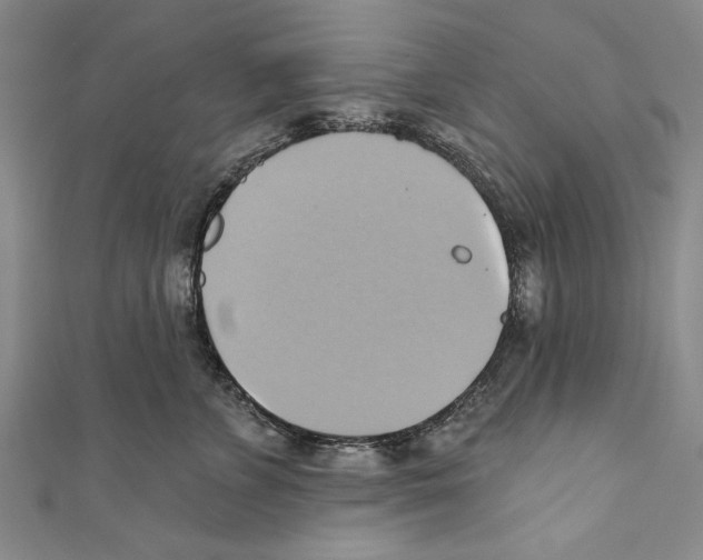 X0000110680715200907101127