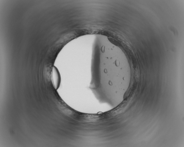X0000110680719200907101127