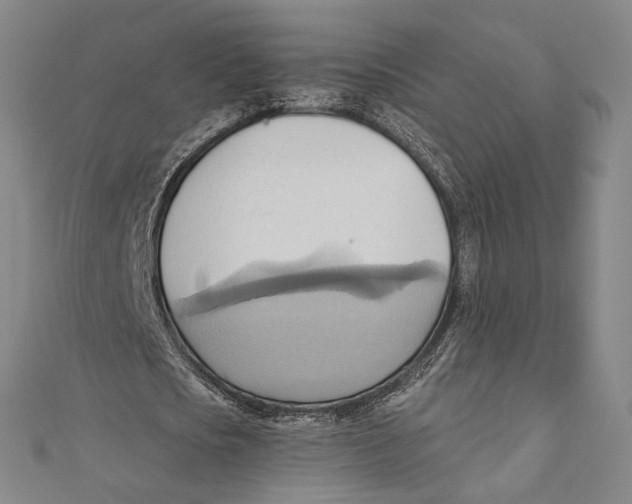 X0000110680721200907101127