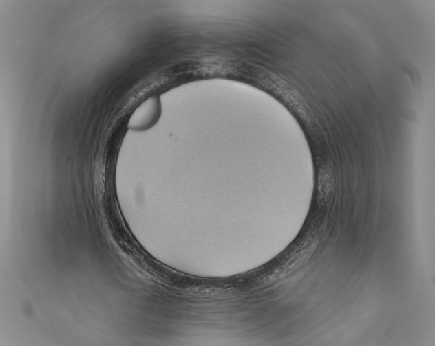 X0000110680722200907101127