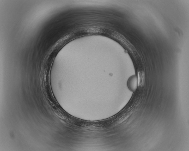 X0000110680723200907101127