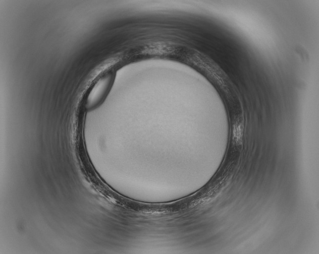 X0000110680724200907101127