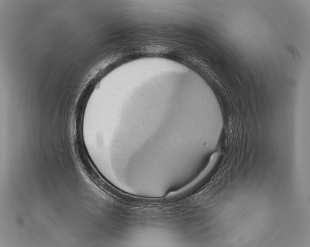 X0000110680726200907101127