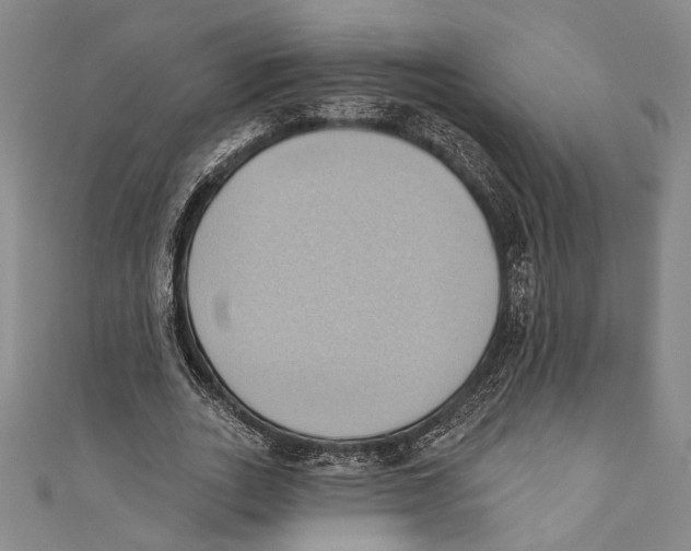 X0000110680727200907101127