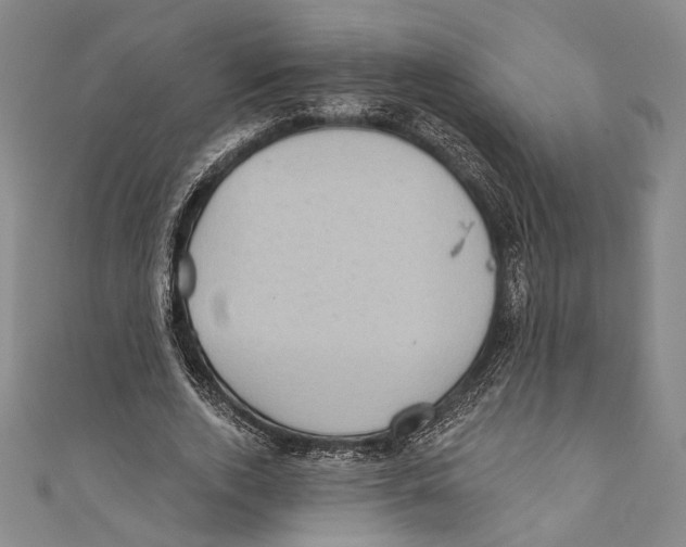 X0000110680728200907101127