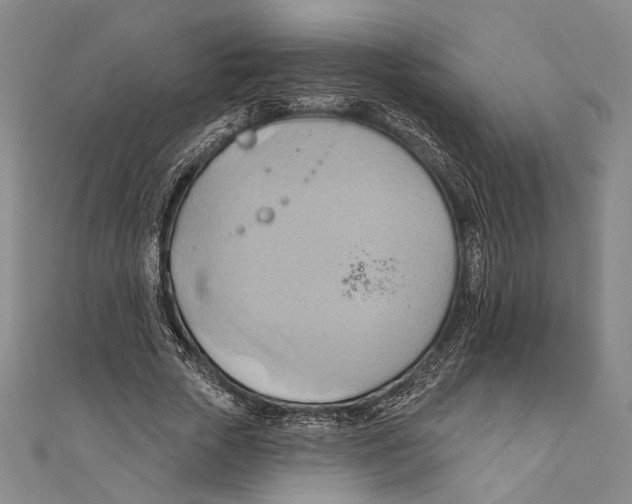 X0000110680729200907101127