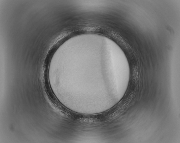 X0000110680730200907101127