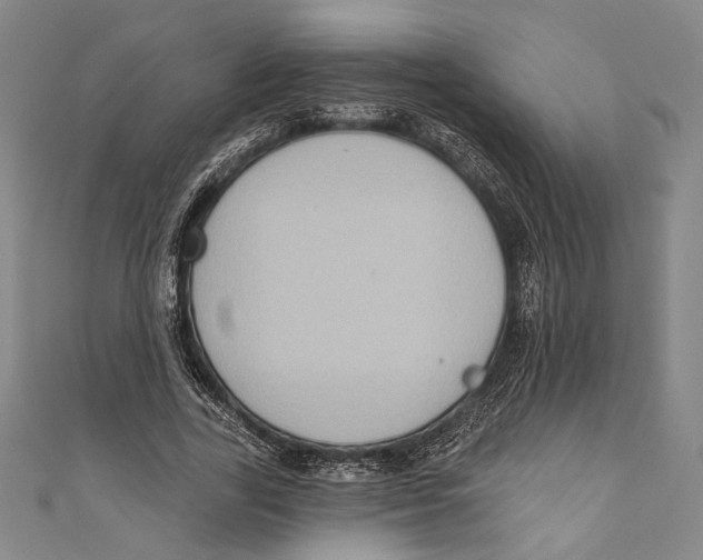 X0000110680731200907101127