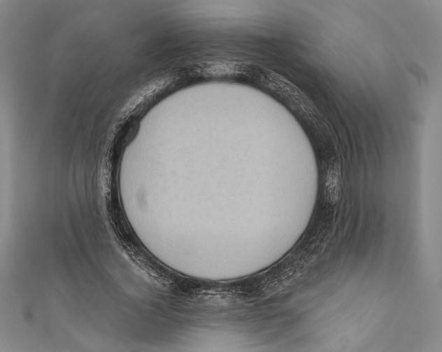X0000110680732200907101127
