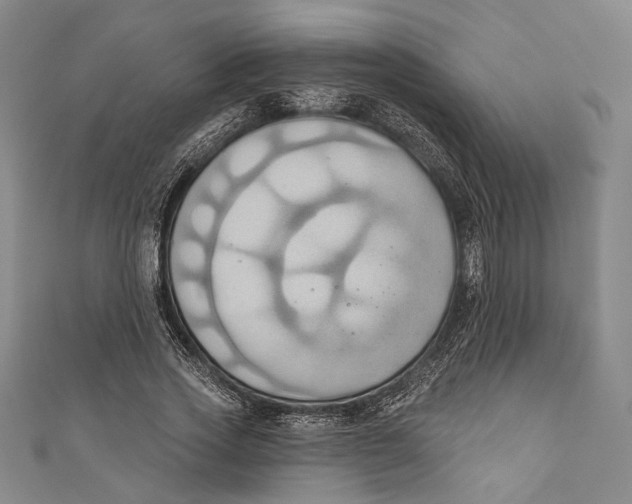 X0000110680733200907101127