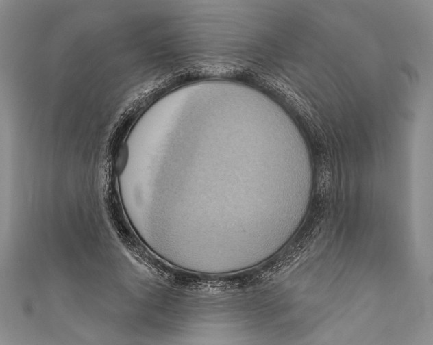 X0000110680736200907101127