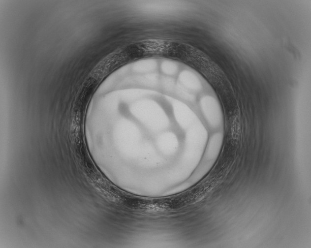 X0000110680737200907101127