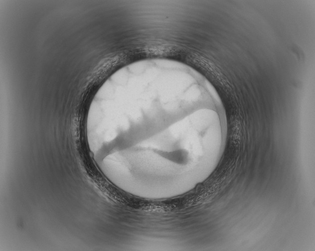 X0000110680738200907101127