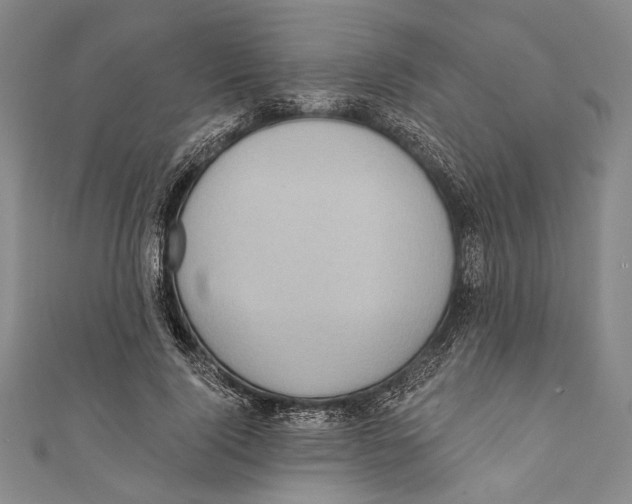 X0000110680740200907101127