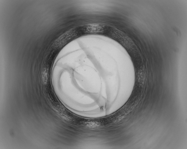 X0000110680741200907101127
