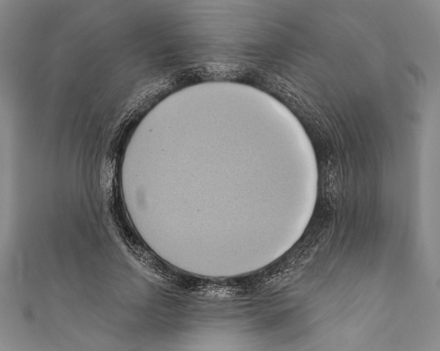 X0000110680742200907101127