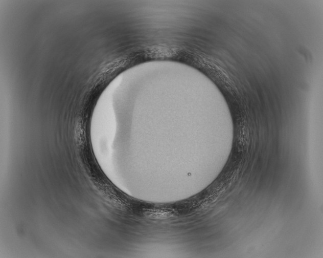 X0000110680743200907101127