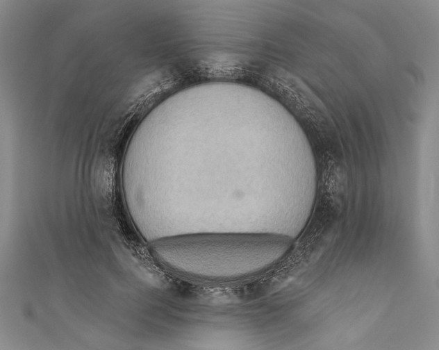 X0000110680744200907101127