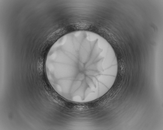 X0000110680745200907101127