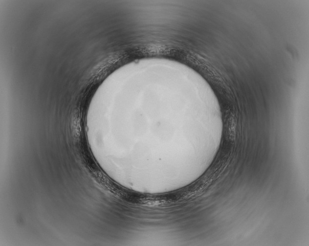 X0000110680746200907101127