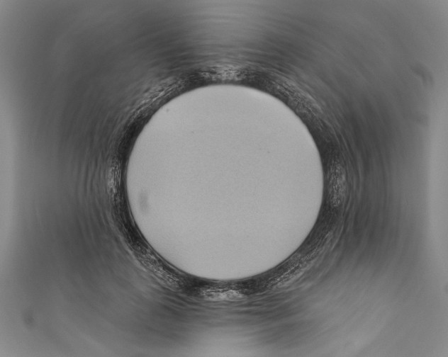 X0000110680747200907101127