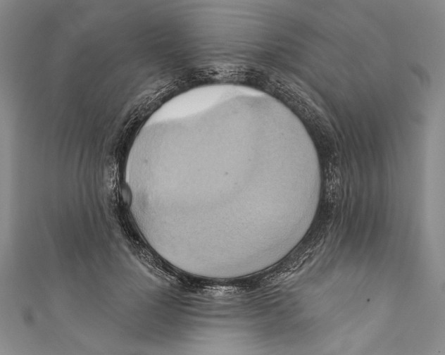 X0000110680748200907101127