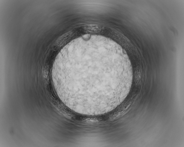 X0000110680749200907101127
