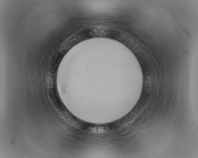 X0000110680751200907101127