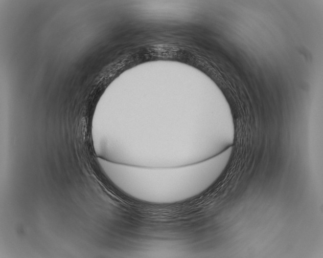 X0000110680752200907101127