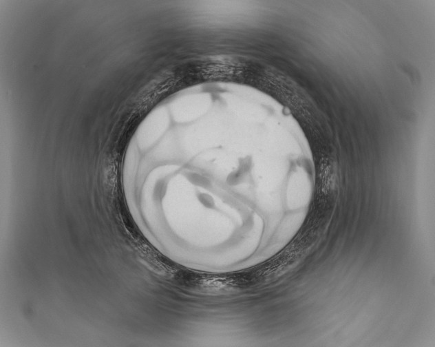 X0000110680753200907101127