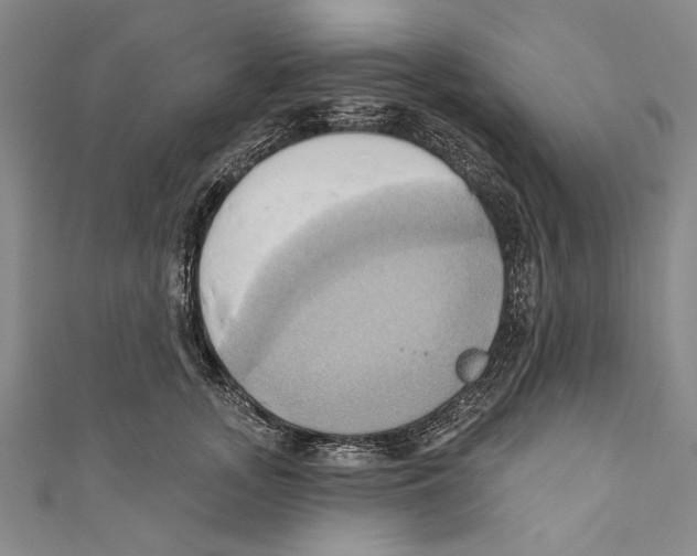 X0000110680755200907101127